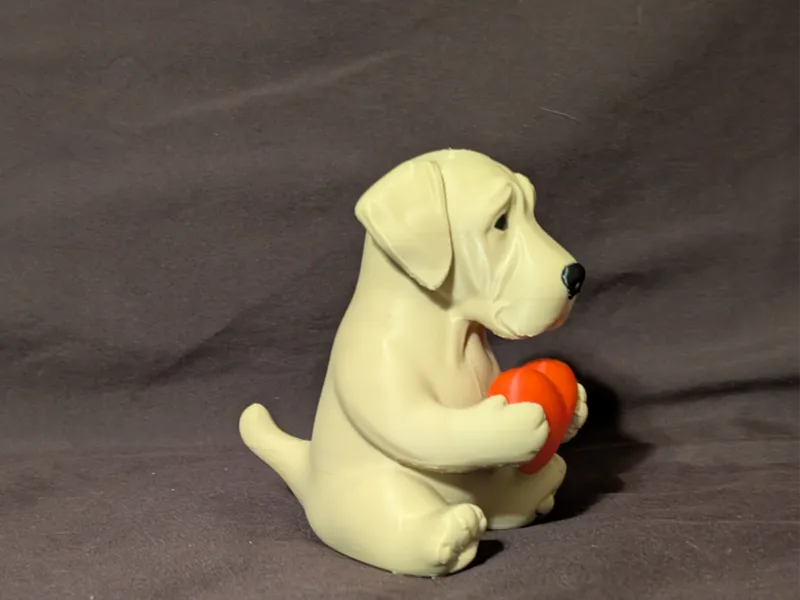 greatdane holding heart
