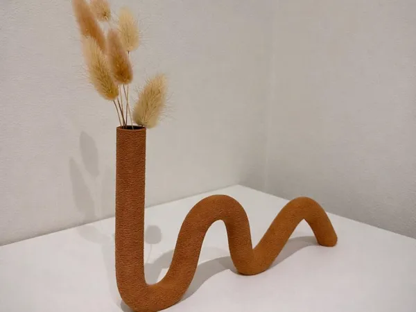 https://makerworld.bblmw.com/makerworld/model/DSM00000002274899/design/2026-01-20_7a5d4c4b71c078.jpg