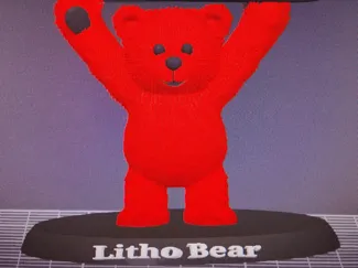 litho bear