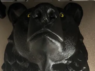 The bear's head