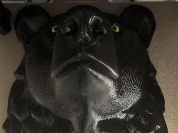 The bear's head