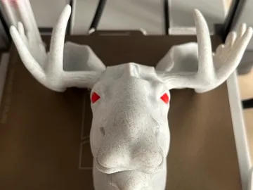 moose
