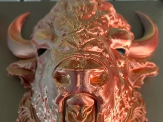 bison