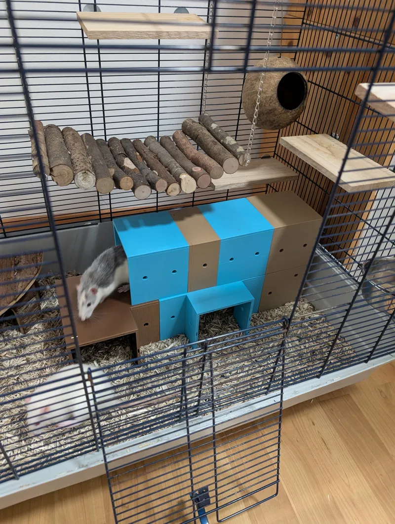 Modular Rat & Rodent Customizable Tunnel System
