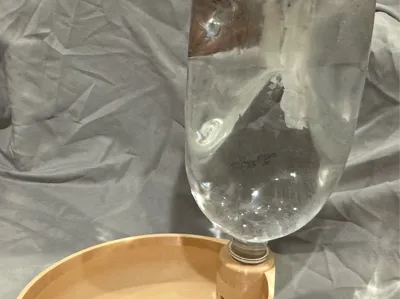 Automatic Water Dispenser for Animals