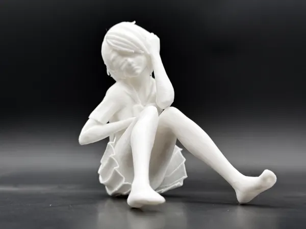 https://makerworld.bblmw.com/makerworld/model/DSM00000002281215/design/3e2f5cd0ae19a5a8.jpg