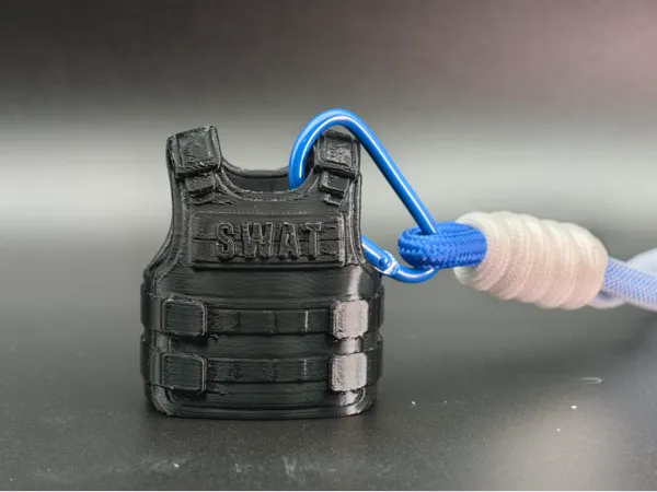 https://makerworld.bblmw.com/makerworld/model/DSM00000002282055/design/d3120a777cd2a761.jpg