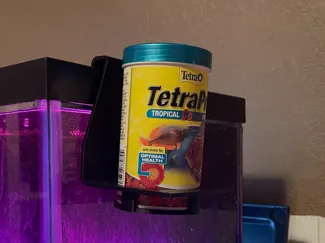 Fish Food Holder
