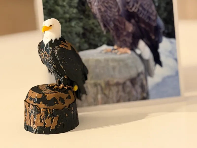 Weisskopfseeadler