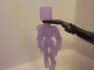 raggdollbot