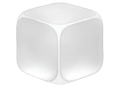 D6 blank dice