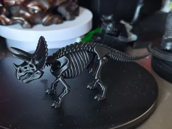 https://makerworld.bblmw.com/makerworld/model/DSM00000002290716/design/685022d8aa5b70f3.jpg