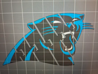 Carolina Panthers Flexi Fidget Keychain