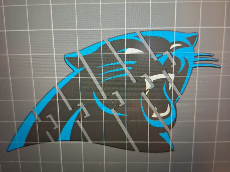 Carolina Panthers Flexi Fidget Schlüsselanhänger
