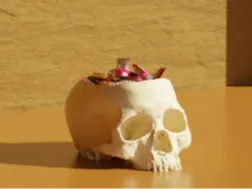 cuenco calavera