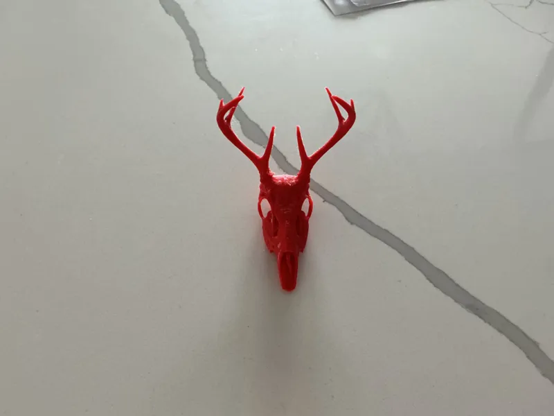 deer skull