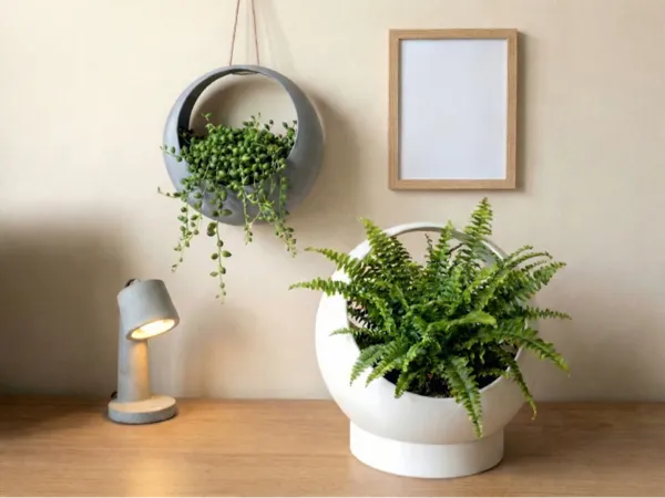 https://makerworld.bblmw.com/makerworld/model/DSM00000002295466/design/d7ce549376aa5a27.jpg