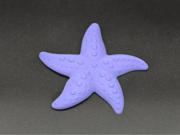 https://makerworld.bblmw.com/makerworld/model/DSM00000002295761/design/7501c0d727ecee52.jpg