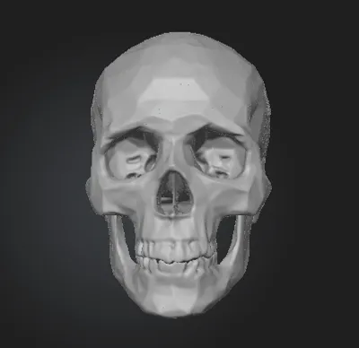 Skull for Halloween