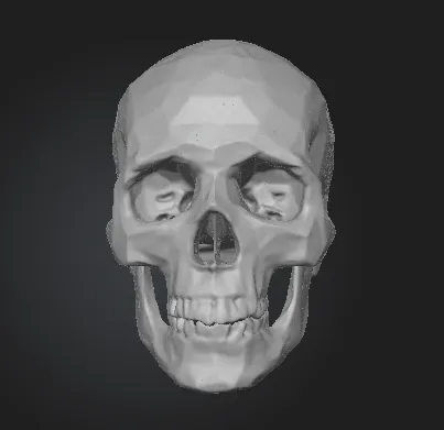 Skull for Halloween