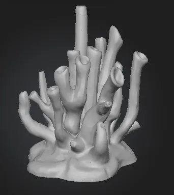 Coral Growth Decor
