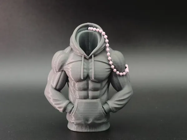https://makerworld.bblmw.com/makerworld/model/DSM00000002302342/design/e00986a3c4061efd.jpg