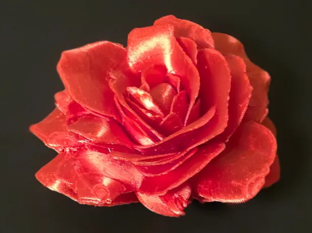 Abracadabra Rose