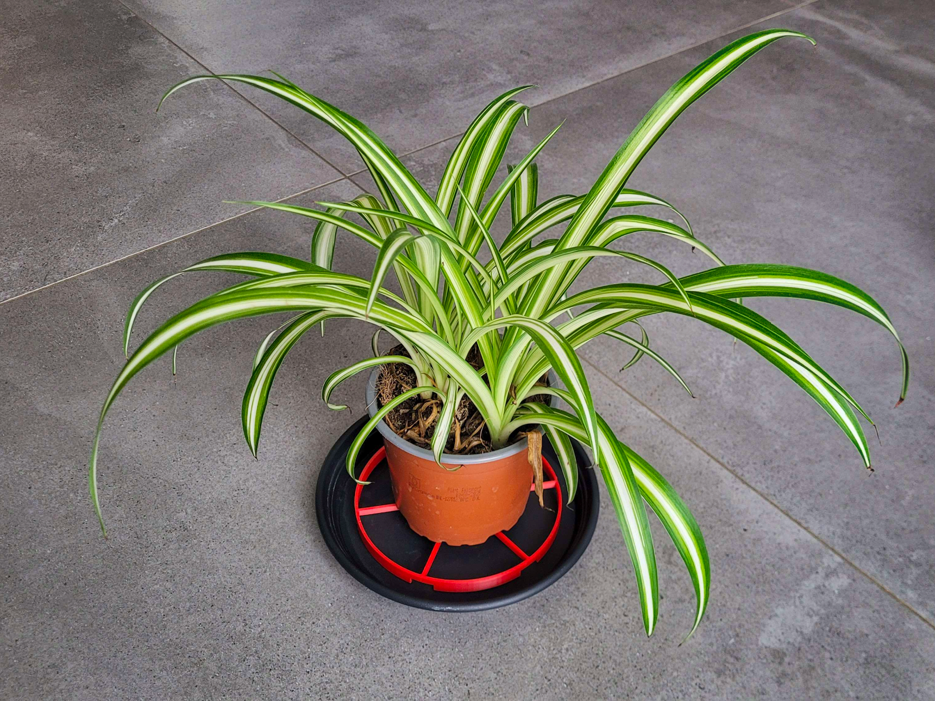 Ultimate Parametric Pot Riser (Customizable)