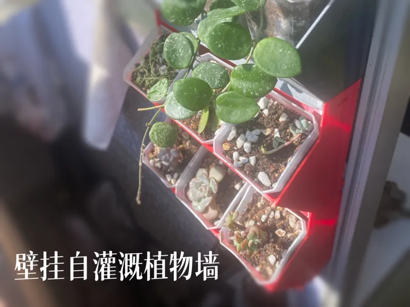 壁挂自灌溉植物墙托槽