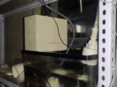 Small Aquarium Filter Box (Stackable) Size 200mm*100mm*80mm