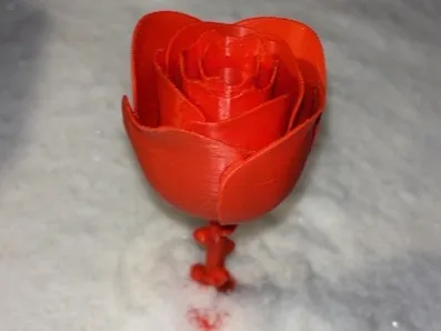 Rose with heart petals