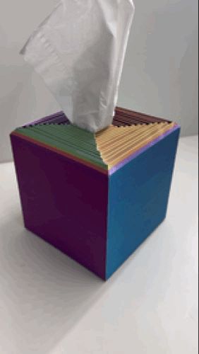 https://makerworld.bblmw.com/makerworld/model/DSM00000002309276/design/fa2f697ca8f2450c.gif