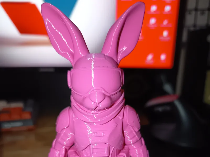 Rabbit Soldier 1