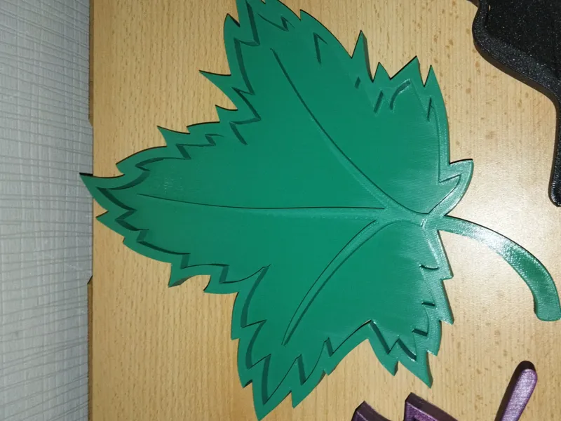 Vide Poche Feuille 2
