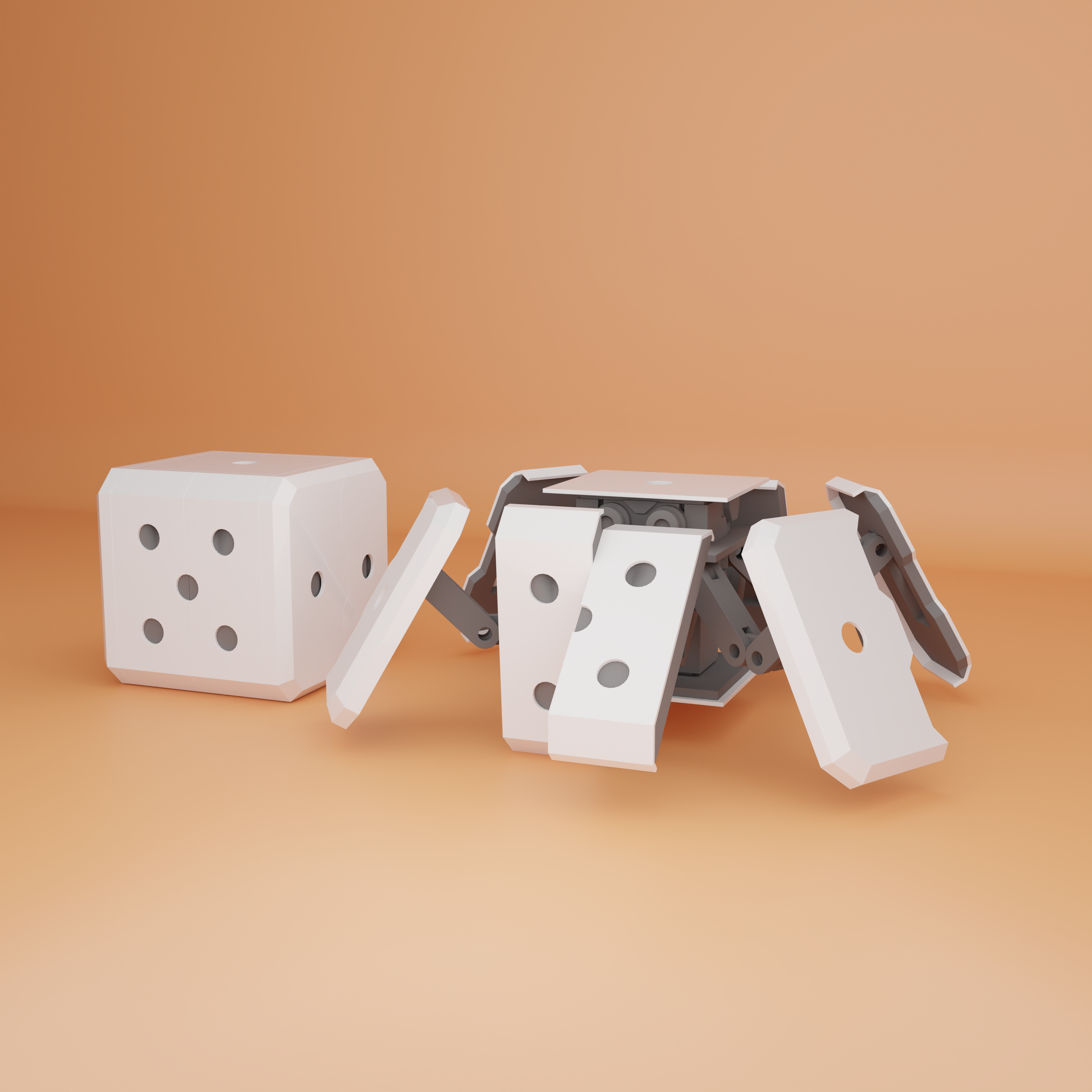 transformer DICE