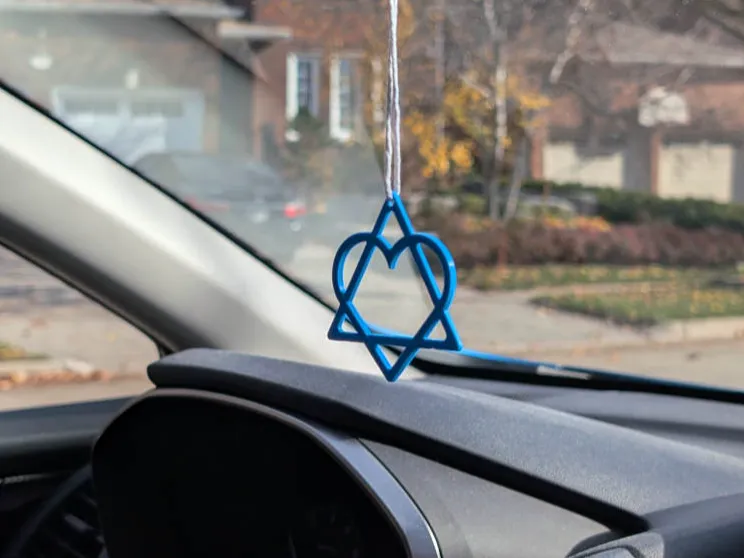 Heart of David - Solidarity Symbol