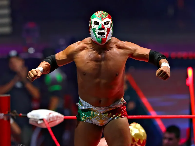 Dr. Wagner Jr