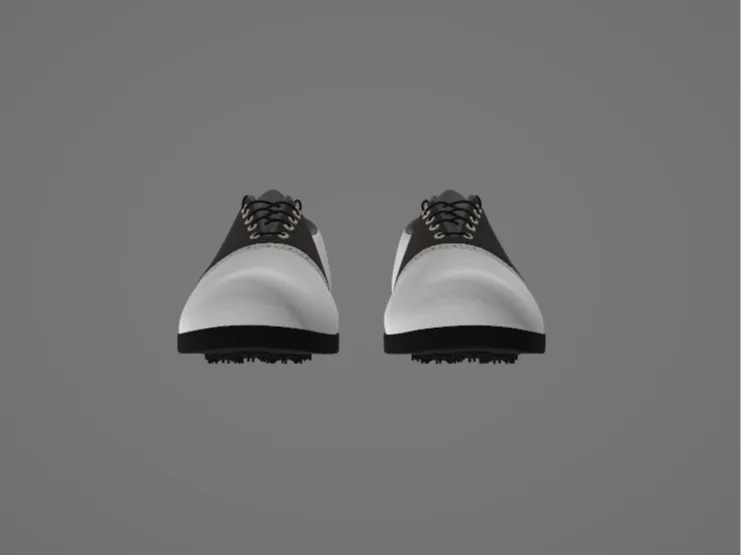 shoe test
