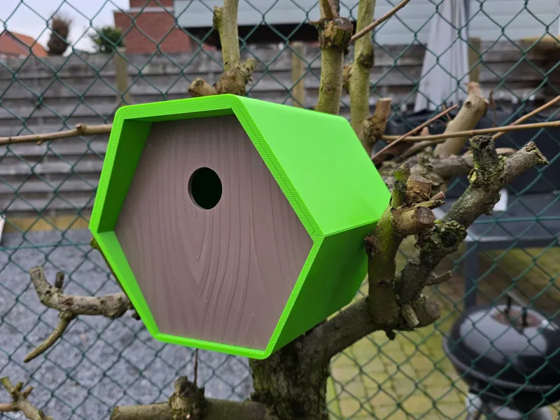 birdhouse hexagon