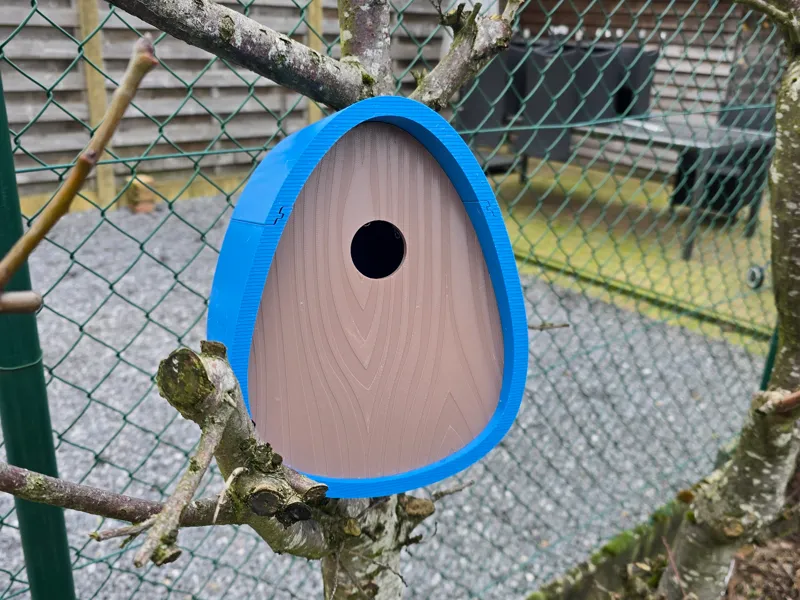 Birdhouse egg