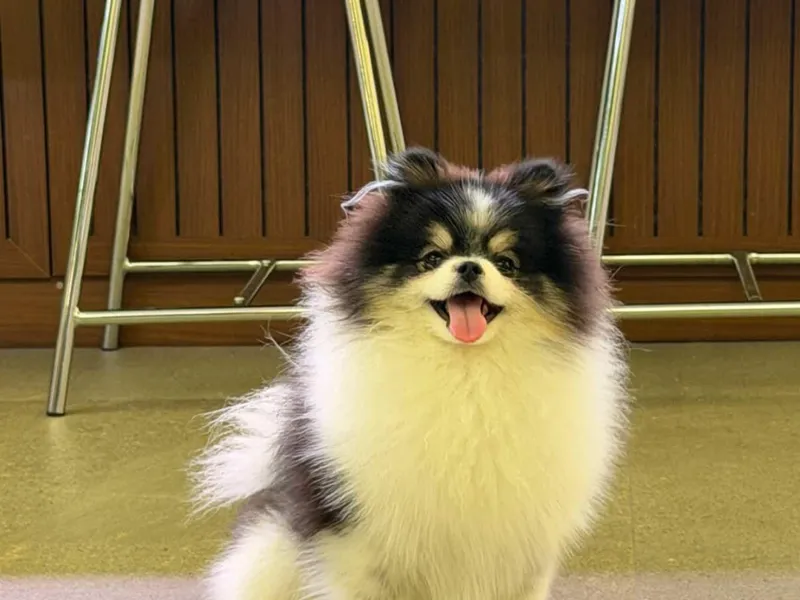 신전