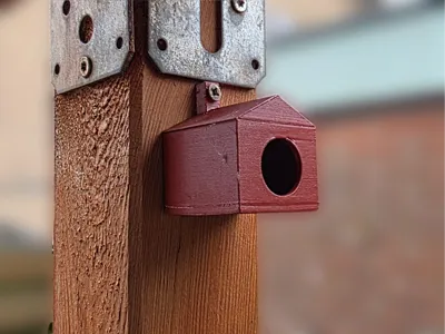 Spider Shack Insect House 
