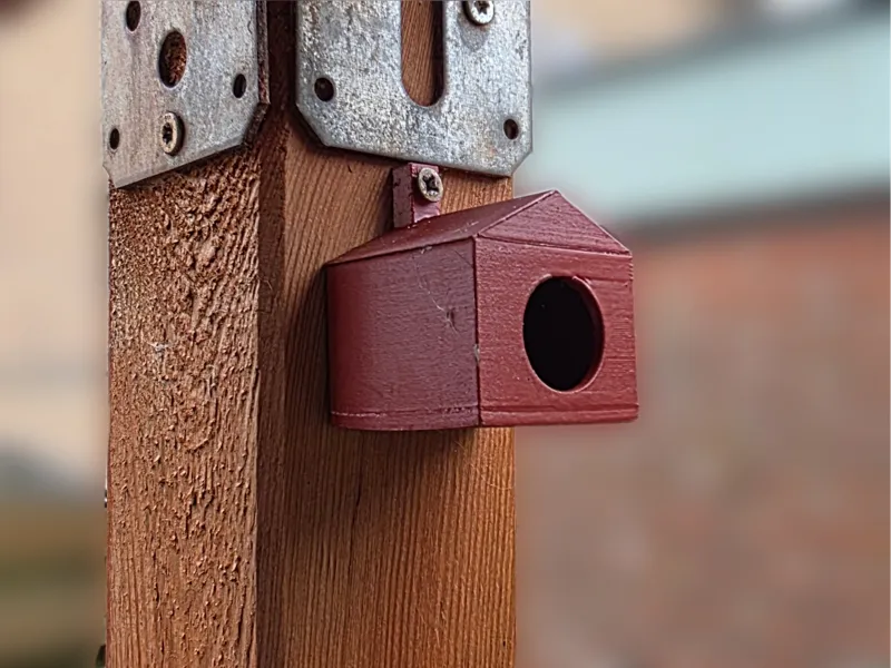 Spider Shack Insect House 