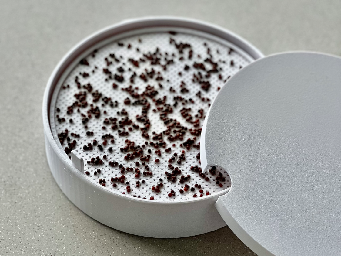 Microgreens tray