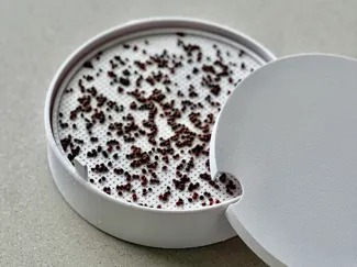 Microgreens tray