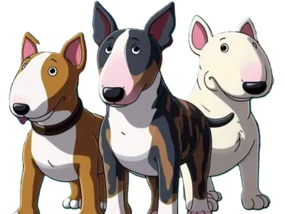 English Bull terrier lightbox 