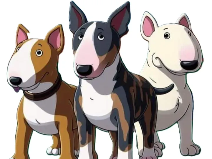English Bull terrier lightbox 