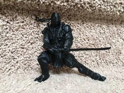ninja Leonardo