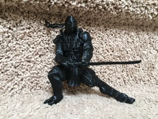ninja Leonado