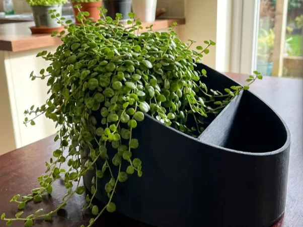 Eclipse Dual Function Planter